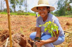 Estudo traz panorama socioeconômico da agricultura familiar de Mato Grosso do Sul