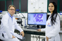 Fundect aumenta em 700% recursos para pesquisas no SUS e investe R$ 6 milhões