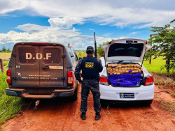 Traficante abandona carro com mais de meia tonelada de maconha