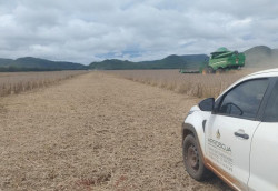 Colheita da safra de soja 2024/2025 alcançou 50,5% da área em Mato Grosso do Sul