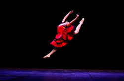 Estão abertas as inscrições para o Prêmio Onça Pintada