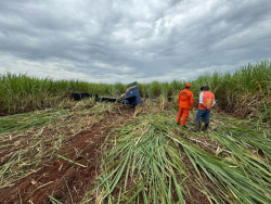 Avião agrícola cai em lavoura de cana e mata piloto na zona rural de Nova Andradina