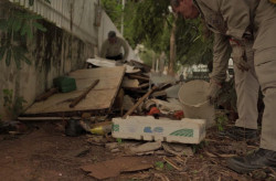 Dengue avança em MS com crescimento de casos e óbitos em 2025