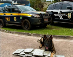 Casal de bolivianos é preso com drogas em ônibus clandestino