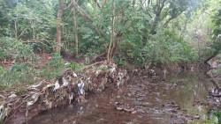 Corpo é encontrado às margens de córrego em Dourados