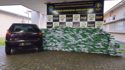 Homem é preso com meia tonelada de agrotóxicos contrabandeados