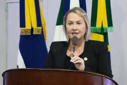 Liandra da Saúde solicita emendas para reforma do Ceper do II Plano