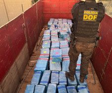 DOF apreende 7,5 toneladas de drogas em carreta com placa do Paraguai