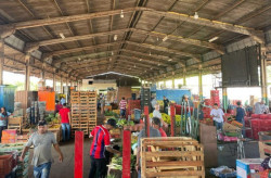 Com R$ 850 mi comercializados em 2024, Ceasa reafirma importância na economia local