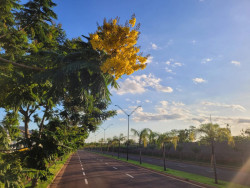 Semana começa com sol entre nuvens, chuva passageira e máxima de 31ºC