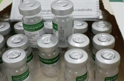 MS fornece 84 mil doses da vacina contra Influenza aos 79 municípios