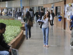 Pé-de-Meia Licenciaturas: prazo para pré-inscrição termina domingo