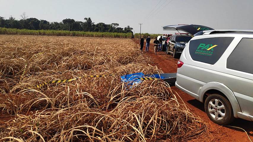 Corpo de mulher encontrado na zona rural de Dourados (Imagem: Adilson Domingos)