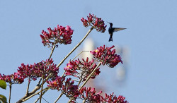 Ar polar ameniza temperaturas em grande parte do Estado nesta quarta-feira