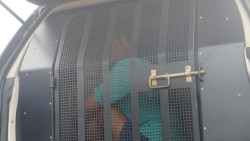 Mulher é detida após incêndio que deixou 3 mortos; polícia investiga crime