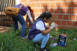 CCZ reforça sobre cuidados para evitar a dengue diante das chuvas constantes