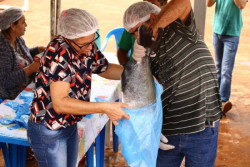 Confira a lista de comerciantes de pescados da 1ª Festa da Páscoa em Dourados