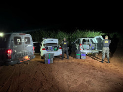 Motorista é preso com 1 tonelada de drogas em carros furtados no Paraná e em SP