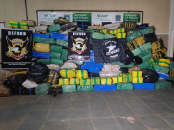 5,3 toneladas de maconha apreendidas pela Defron (Imagem: Adilson Domingos)