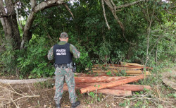 Polícia Ambiental flagra exploração ilegal de madeira em área de reserva