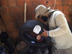 Dengue recua, mas avanço da Chikungunya acende alerta em Mato Grosso do Sul