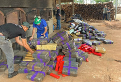 Polícia Civil incinera 3,2 toneladas de drogas em Mundo Novo