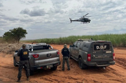 Apreensões de drogas crescem 151% e chegam a 116 toneladas no 1º trimestre