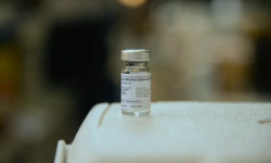 Vacinas mais modernas podem prevenir nova pandemia