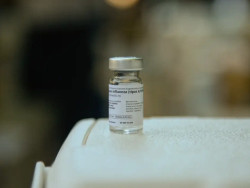 Vacinas mais modernas podem prevenir nova pandemia