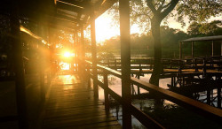 Temperaturas em elevação e baixa umidade é destaque para o final de semana