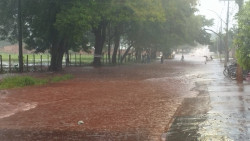 Dourados tem 82 milímetros de chuva e casas alagadas nos bairros