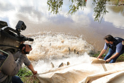 Lago do Parque Antenor Martins recebe 2,5 toneladas de peixes para Festa da Páscoa