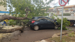 Árvore cai e atinge carro em cruzamento da área central de Dourados