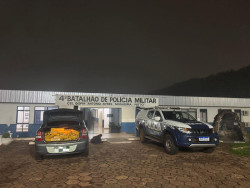 Homem é preso com mil tabletes de maconha na fronteira de MS