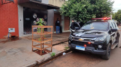 Polícia Civil deflagra operação em combate a estelionatos na Capital