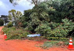 Homem de 31 anos morre eletrocutado ao fazer poda de árvore