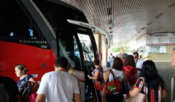 Transportadoras intermunicipais precisam requerer renovação