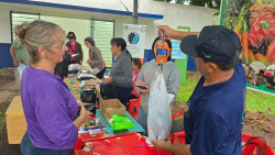 Festa da Páscoa tem venda de peixes de produtores locais com selo de inspeção