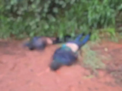 Moradores encontram 2 corpos em área isolada na fronteira