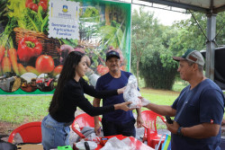 Festa da Páscoa tem promoção de peixes com selo de inspeção neste domingo