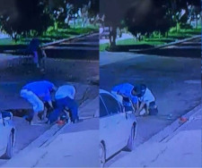 Autores da morte de pitbull são identificados e indiciados pela Polícia Civil