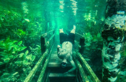 Com água cristalina, trilha submersa permite imagens deslumbrantes em santuário ecológico