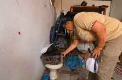 Mato Grosso do Sul registra 3.641 casos confirmados de dengue