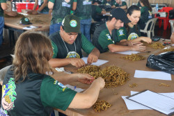 Produtora vence Pé de Soja Solteiro com 11.813 vagens e leva moto zero para casa
