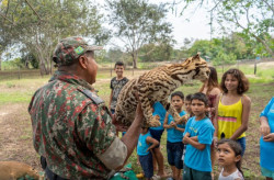 PMA faz ações de orientação sobre animais silvestre durante todo o ano