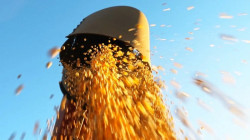 Queda nos preços faz produtores de soja adiarem vendas