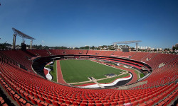 Estádios de São Paulo terão público a partir de novembro