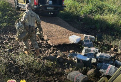 Ação conjunta apreende quase meia tonelada de maconha na margem do Rio Paraná