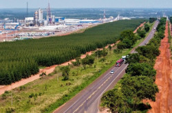 Governo realiza leilão para concessão da Rota da Celulose na quinta-feira