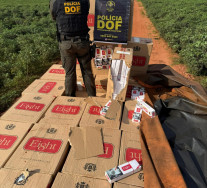 DOF apreende carga milionária de cigarros contrabandeados e motorista foge